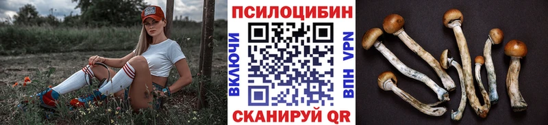Купить закладки  Томск  Галлюциногенные грибы Psilocybe 