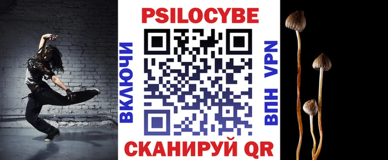 Псилоцибиновые грибы Cubensis Томск